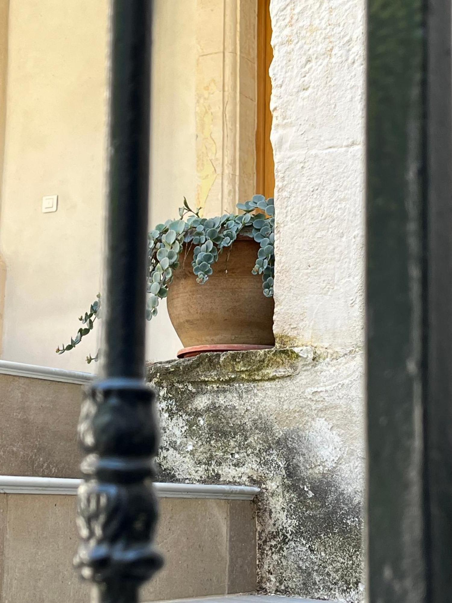 Saint-Julien-de-Peyrolas Domaine Forvent Bed & Breakfast エクステリア 写真