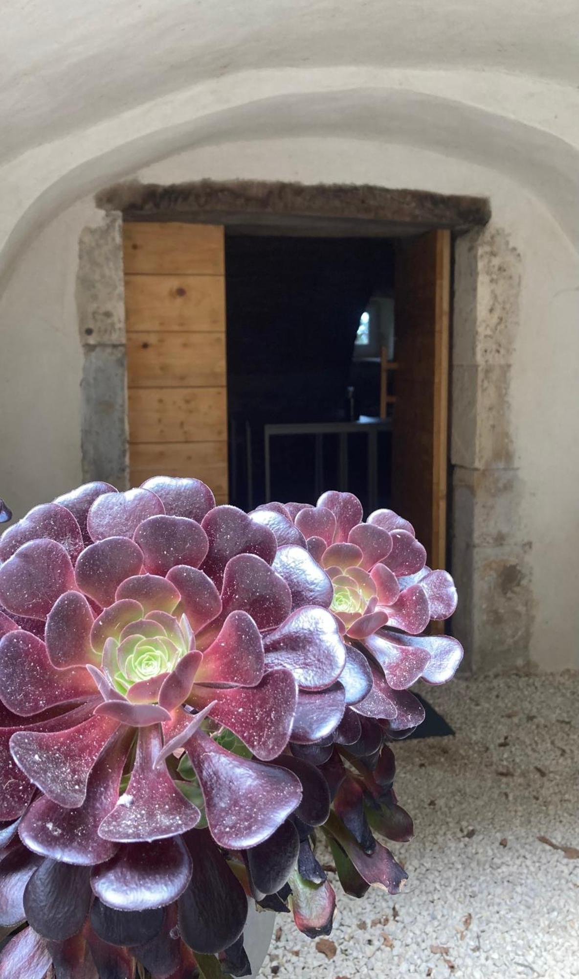 Saint-Julien-de-Peyrolas Domaine Forvent Bed & Breakfast エクステリア 写真