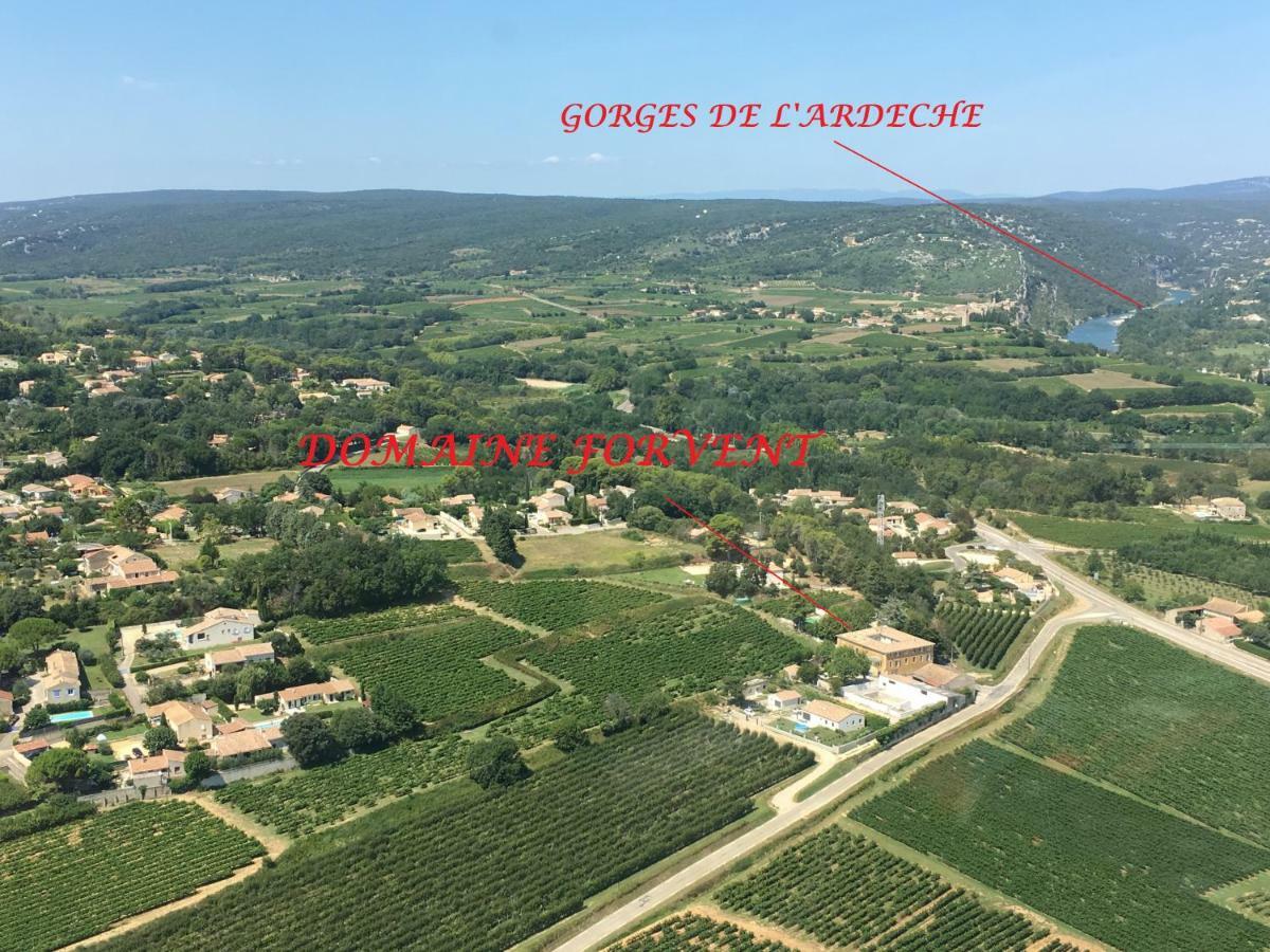 Saint-Julien-de-Peyrolas Domaine Forvent Bed & Breakfast エクステリア 写真